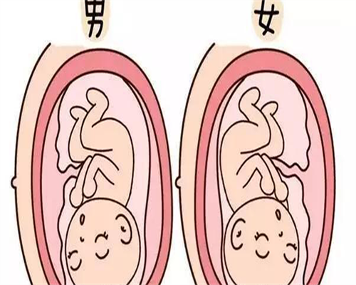 泰国代孕上户口,四十七岁试管供卵预约难，可以自己找赠卵者吗？